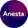 Anesta - Intranet, Extranet, Community and BuddyPress WordPress Theme